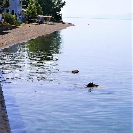 別荘 Lagoutis Beachfront House